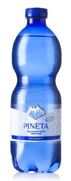 acqua pineta cl.50 gas pet